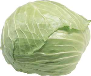 Cabbage PNG image-8815